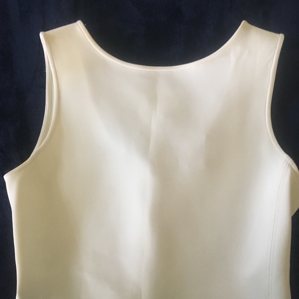 Theory NWT Stretchy Creme Dress